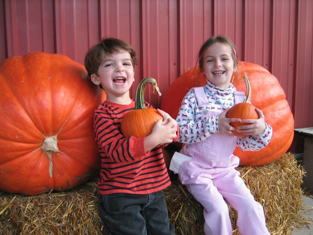 IMG 4226 pumpkins2005