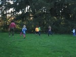IMG 5904