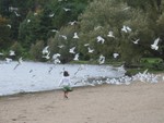 IMG 5944