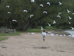 IMG 5956