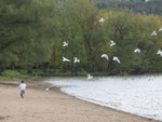 IMG 5957