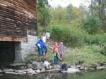 IMG 5962