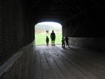IMG 5969