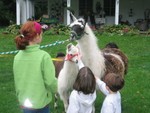 IMG 5981