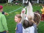 IMG 5982