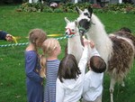 IMG 5983