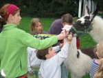 IMG 5984
