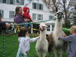 IMG 5986