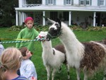 IMG 5987