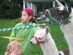IMG 5988