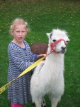 IMG 5993