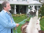 IMG 5994