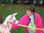 IMG 5997